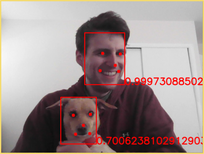 MTCNN: Example