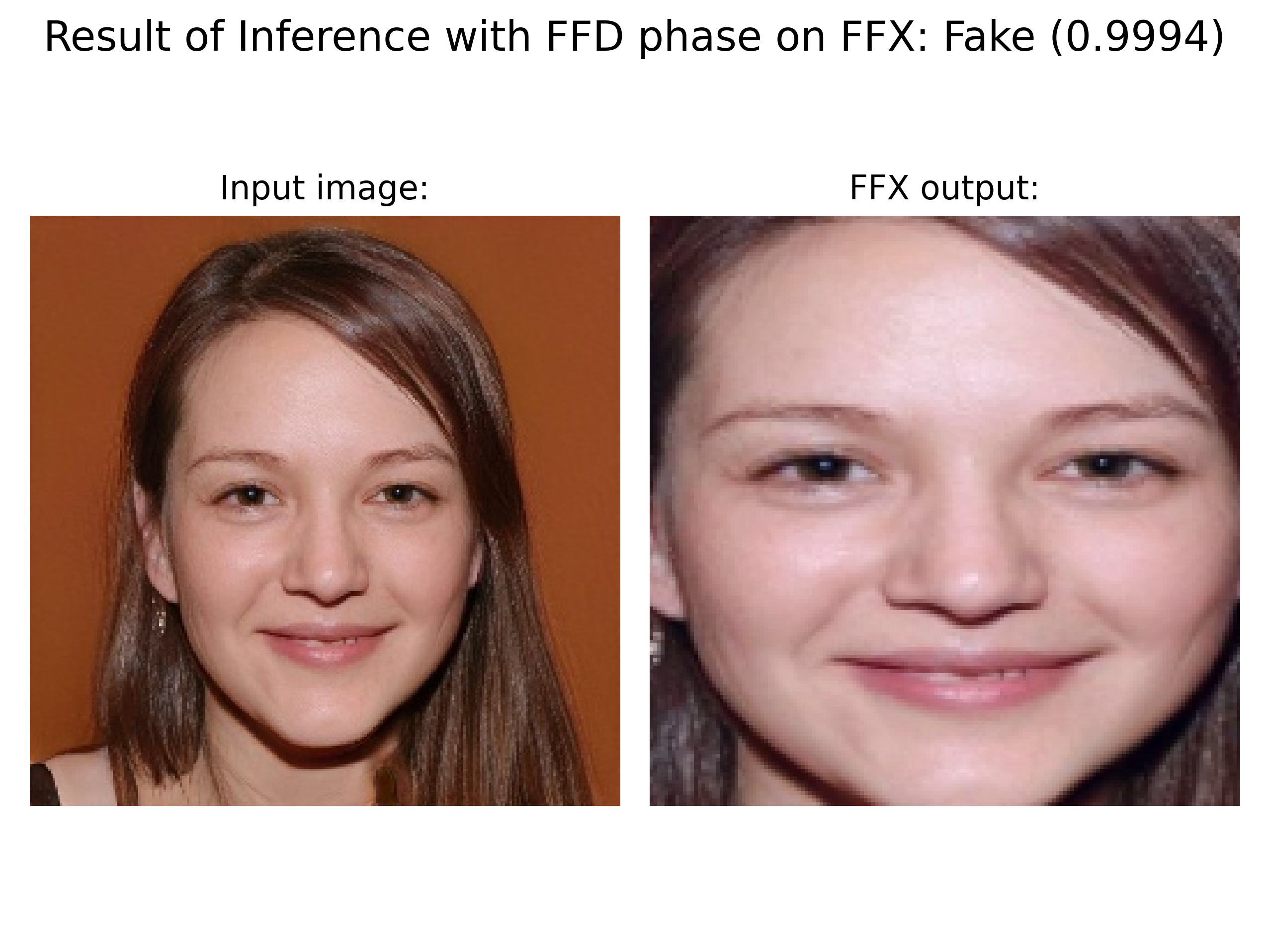 Demo: Fake Face