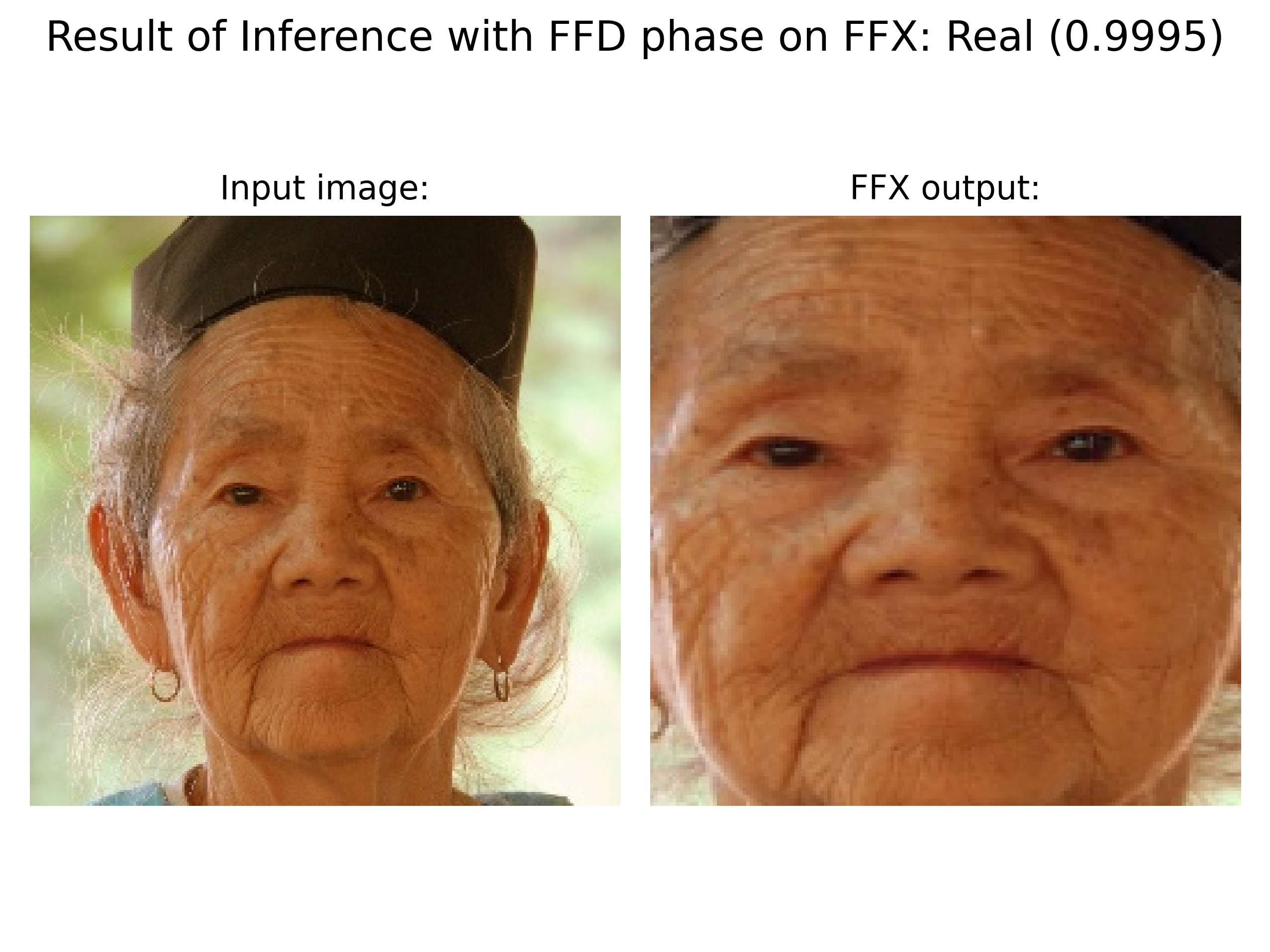 Demo: Real Face